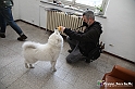 VBS_5424 - Presentazione Paratissima 2022